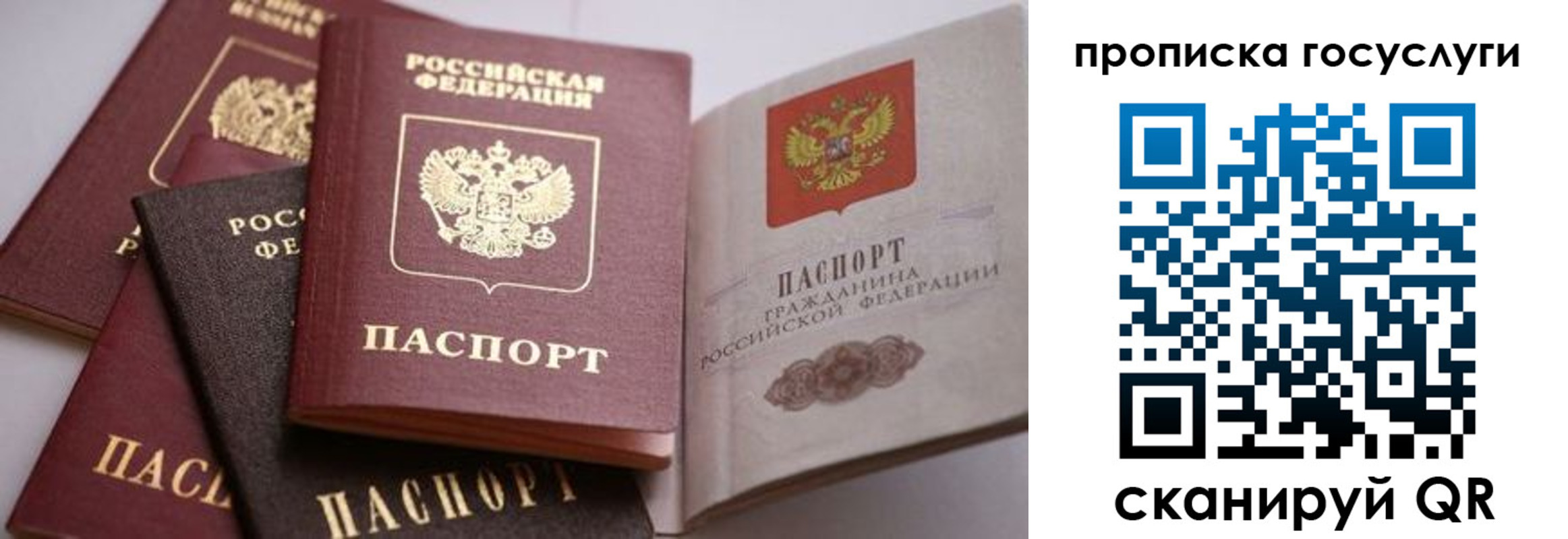 прописка иностранных граждан в Рыбном